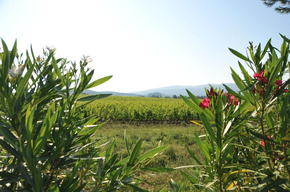 Tenuta Casabianca Murlo Luaran gambar