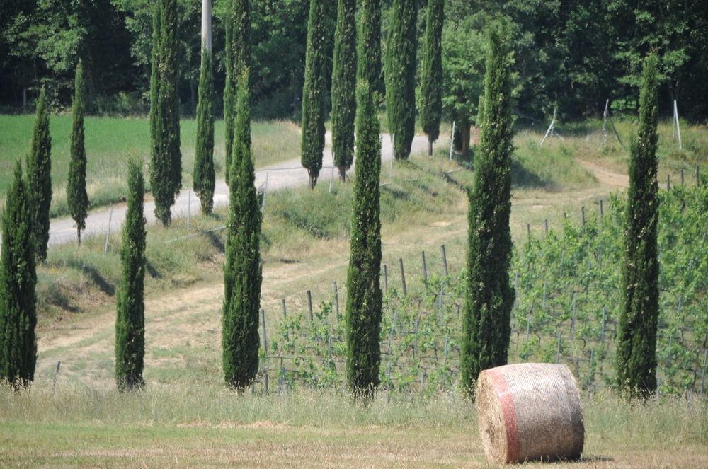 Tenuta Casabianca Murlo Luaran gambar