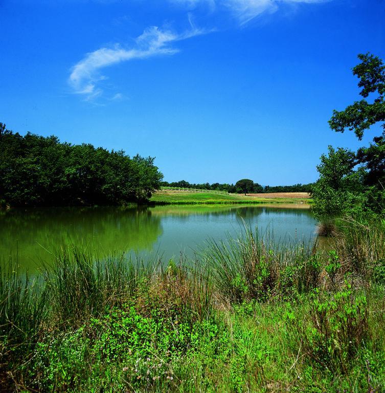 Tenuta Casabianca Murlo Luaran gambar