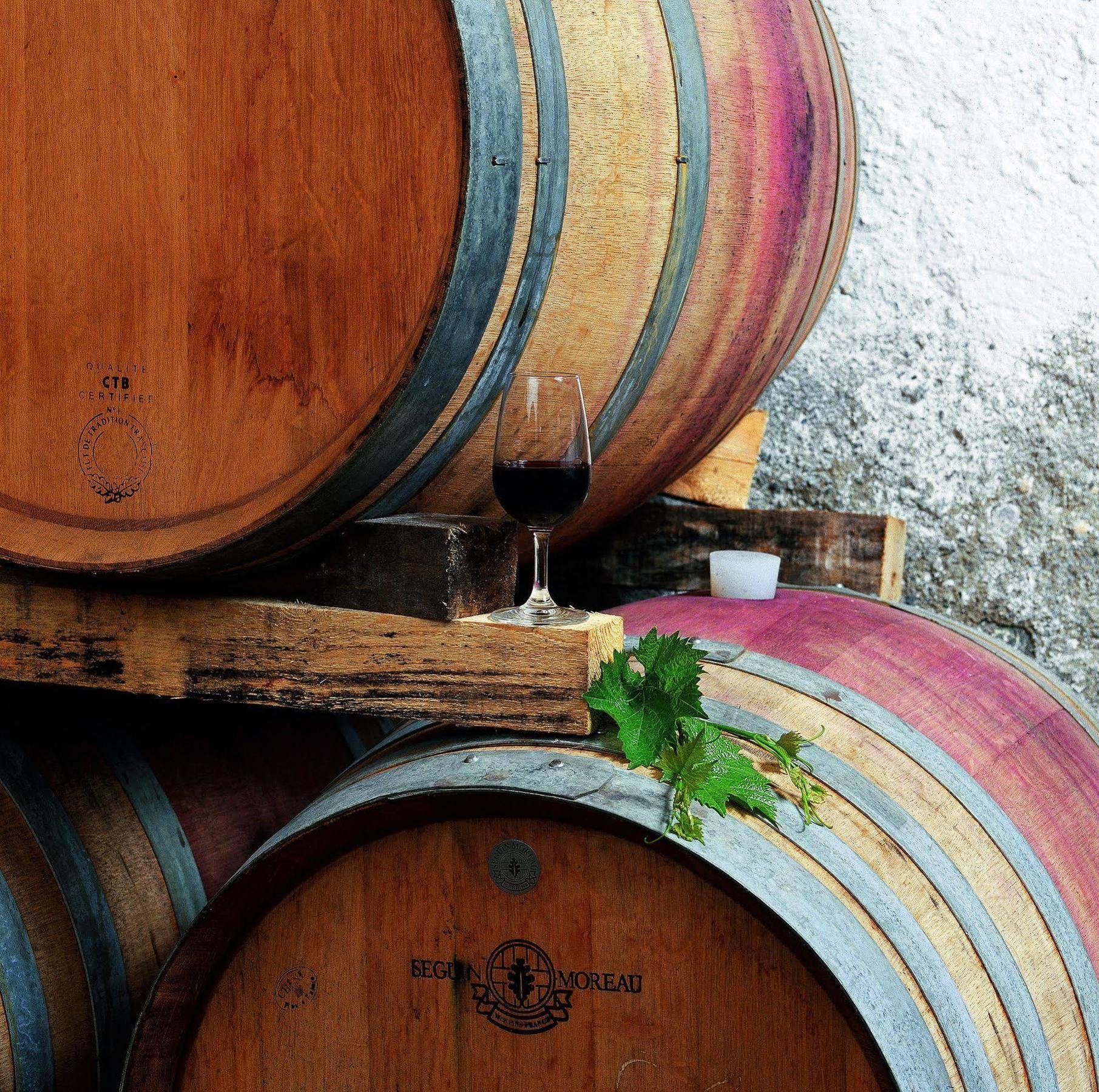 Tenuta Casabianca Murlo Luaran gambar